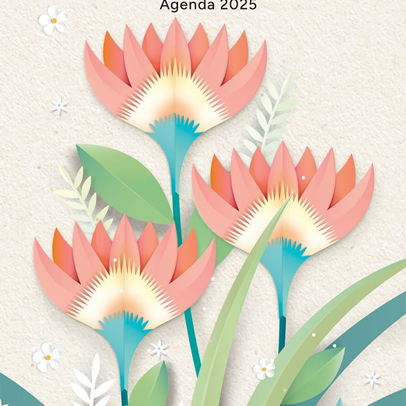 Agenda Paulo Coelho 2025 coraje 2 &ndash; VR Editoras